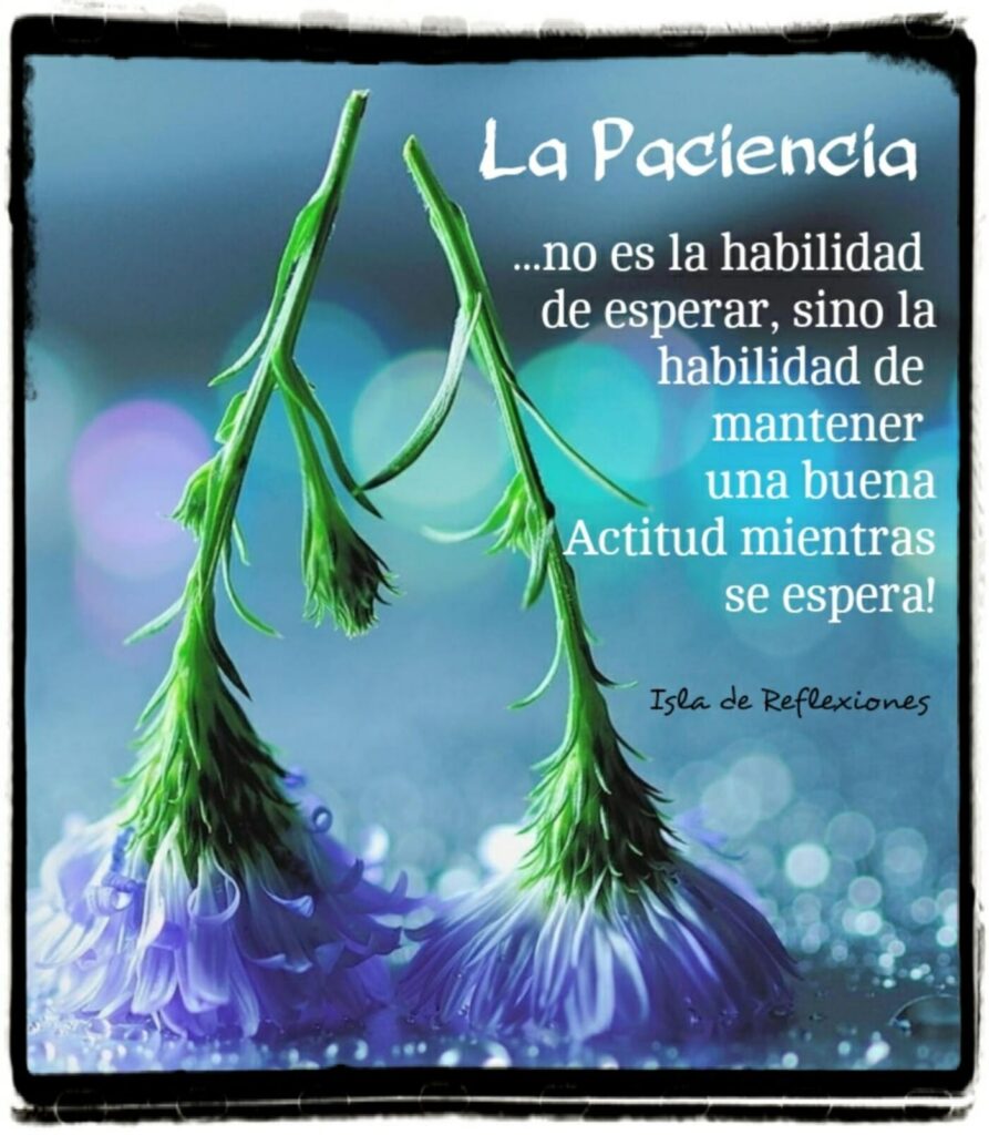 La Paciencia... no es la habilidad de esperar, sino la habilidad de mantener una buena actitud mientras se espera!