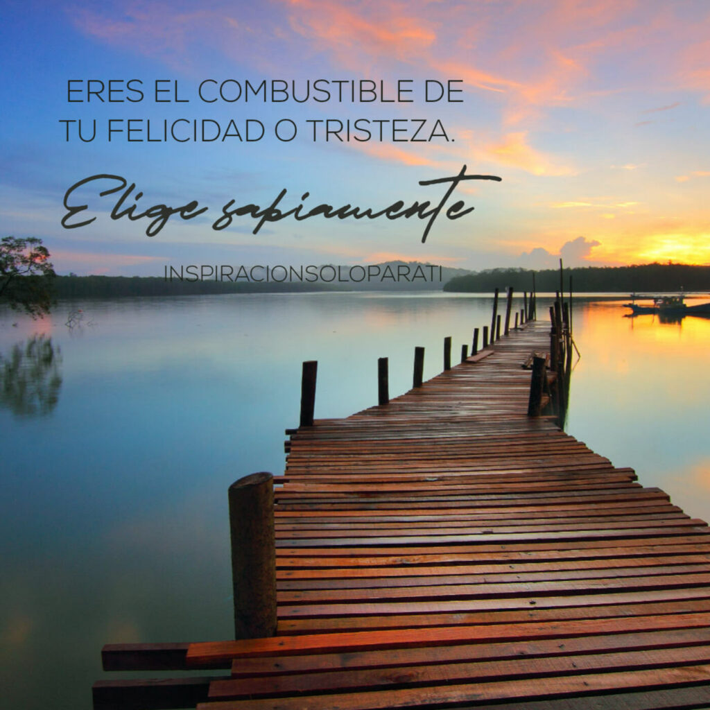 Eres el combustible de tu felicidad o tristeza. Elige sabientemente