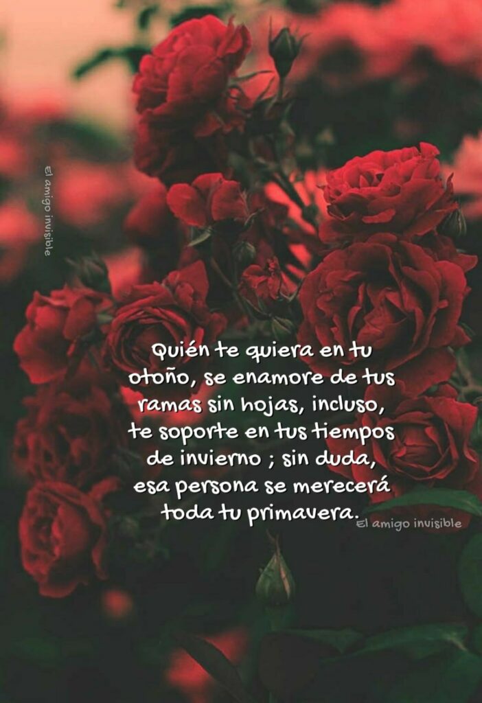 Quién te quiera en tu otoño, se enamore de tus ramas sin hojas, incluso, te soporte en tus tiempos de invierno; sin duda, esa persona se merecerá toda tu primavera.