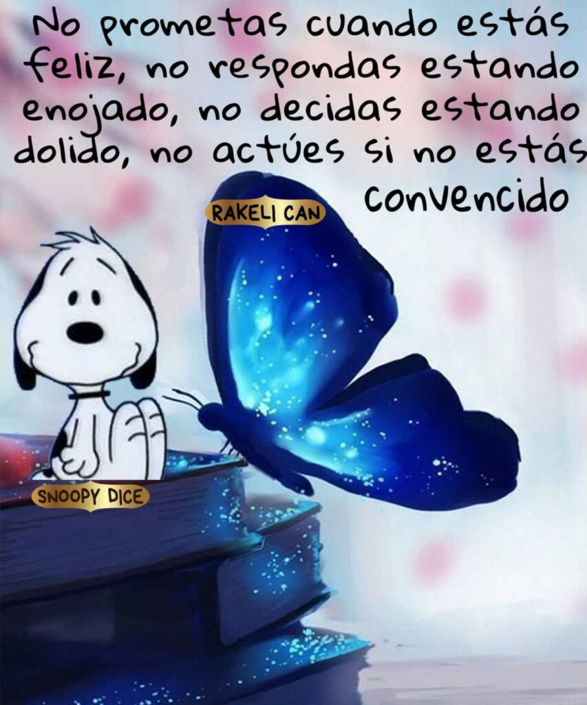 No prometaas cuando estás feliz, no respondas estando enojado, no decidas estando dolido, no actúes si no estás convencido. (Snoopy Dice)