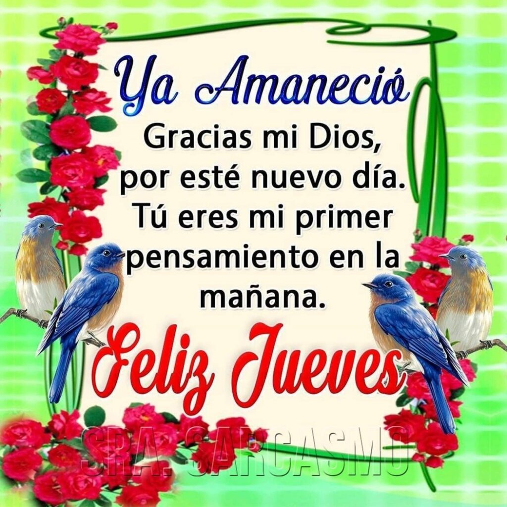 Ya amaneció. Gracias mi Dios, por esté nuevo día, Tú eres mi primer pensamiento en la mañana. Feliz Jueves