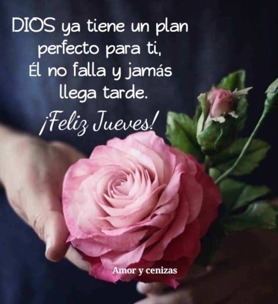 Dios ya tiene un plan perfecto para ti, Él no falla y jamás llega tarde. ¡Feliz Jueves!