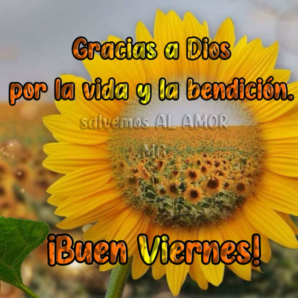 Gracias a Dios por la vida y la bendición. ¡Buen Viernes!