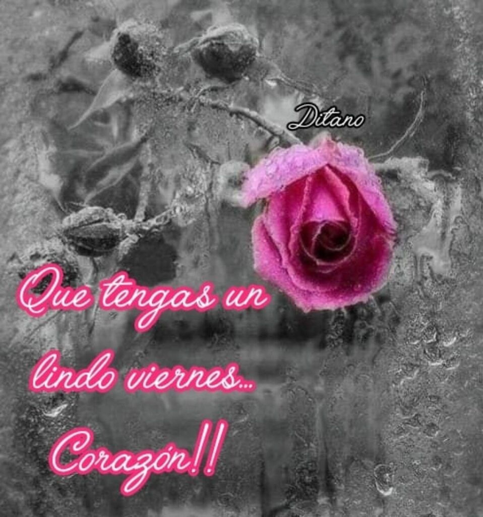 Que tengas un lindo viernes... Corazón!!