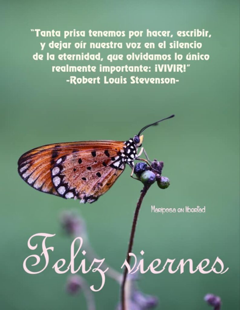 "Tanta prisa tenemos por hacer, escribir, y dejar oir nuestra voz en el silenzio de la eternidad, que olvidamos lo único realmente importante: ¡VIVIR!" (Robert Louis Stevenson) Feliz Viernes