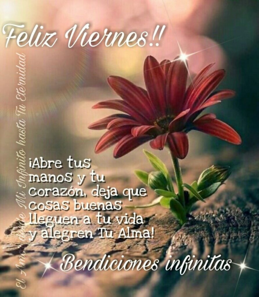 Feliz Viernes!! ¡Abre tus manos y tu corazón, deja que cosas buenas lleguen a tu vida y alegren tu alma! Bendiciones infinitas