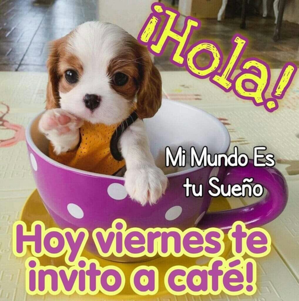 ¡Hola! Hoy vuernes te invito a café!