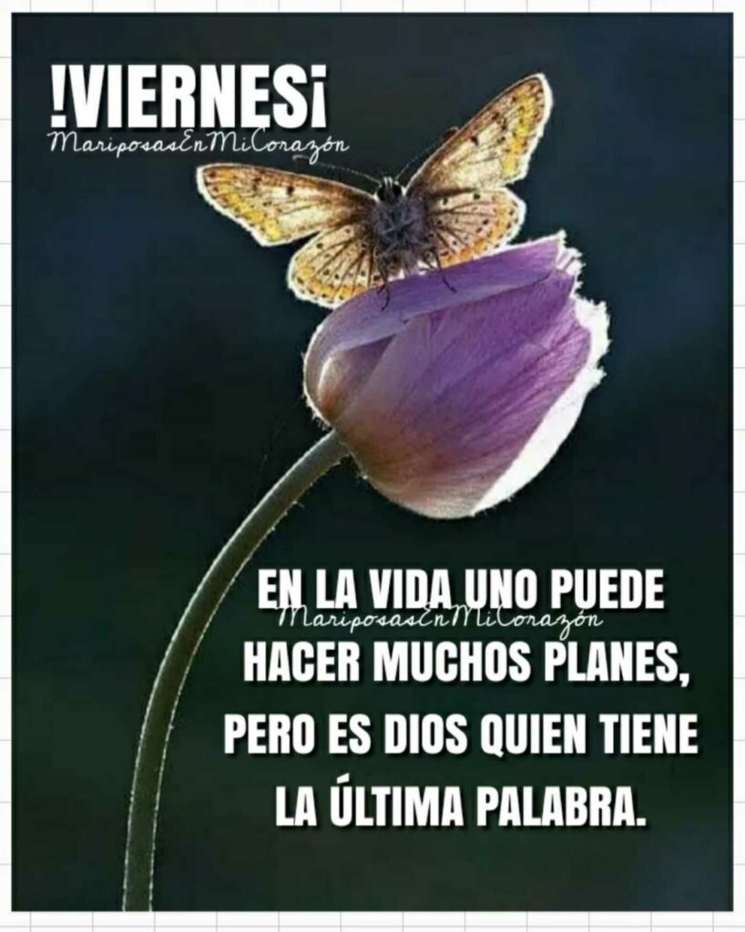 ¡VIERNES! En la vida uno puede hacer muchos planes, pero es Dios quien tiene la últina palabra.