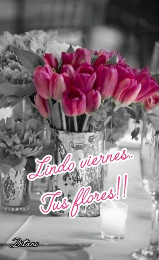 Lindo Viernes.. Tus flores !!