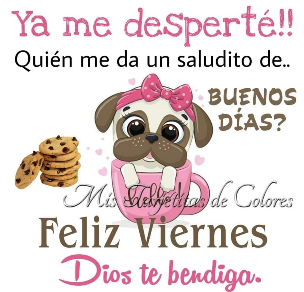 Ya me desperté!! Quién me da un saludito de... BUENOS DÍAS? Feliz Viernes, Dios te bendiga