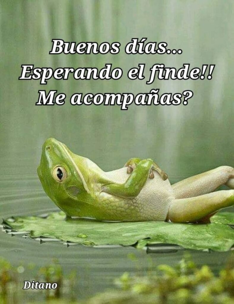 Buenos Días... Esperando el finde!! Me acompañas? (Ditano)