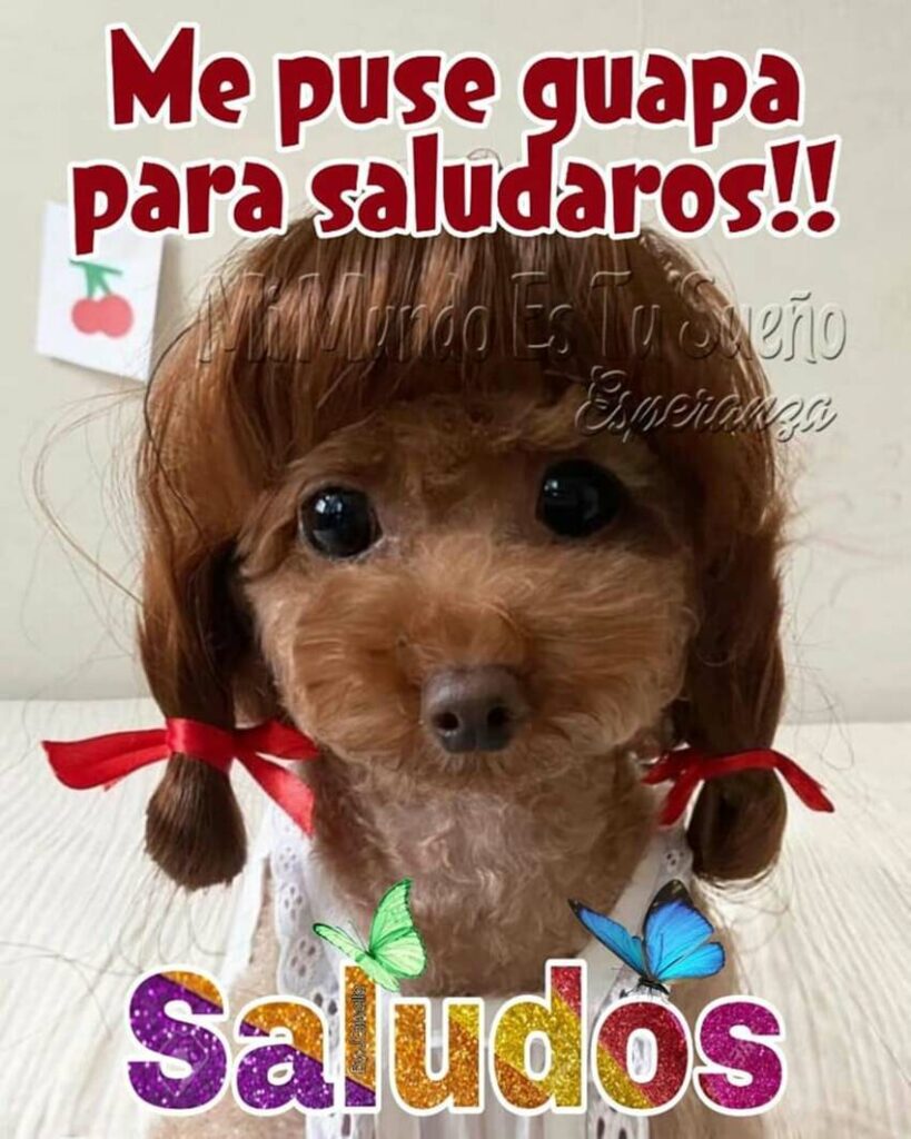 Me puse guapa para saludarnos!! Saludos