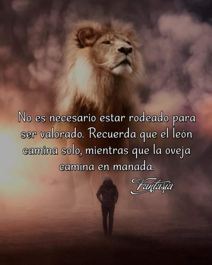 No es necesario estar rodeado para ser valorado. Recuerda que el león camina solo, mientras que la oveja camina en manada.