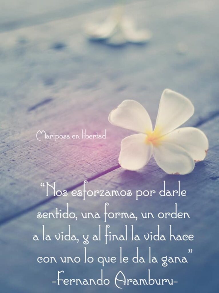 Nos esforzamos por darle sentido, una forma, un orden a la vida, y al final la vida hace con uno lo que le da la gana. (Fernando Aramburu)