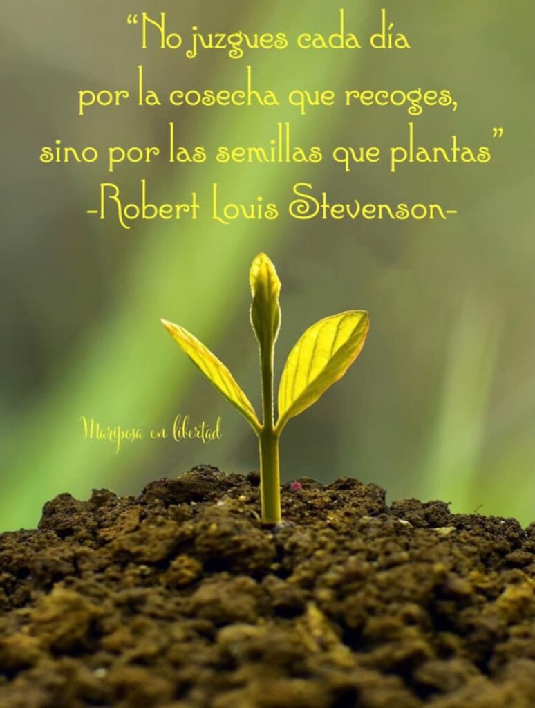 No juzgues cada día por la cosecha que recoges, sino por las semillas que plantas. (Robert Louis Stevenson)