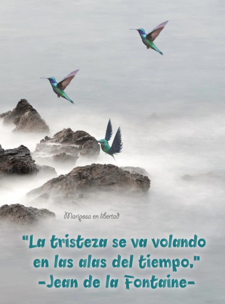 "La tristeza se va volando en las alas del tiempo." (Jean de la Fontaine)