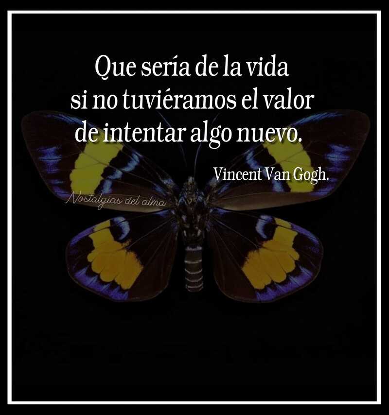 Que sería de la vida si no tuviéramos el valor de intentar algo nuevo. (Vincent Van Gogh)