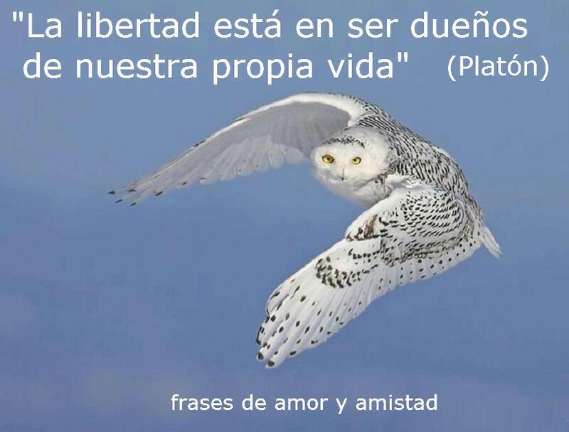 La libertad está en ser dueños de nuestra propia vida. (Platón)