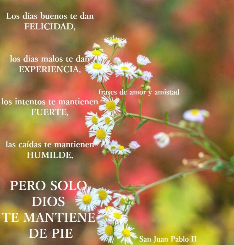 Los días buenos te dan felicidad; los días malos te dan experiencia; los intentos te mantienen fuerte; las caídas te mantienen humilde; PERO SOLO DIOS TE MANTIENE DE PIE (San Juan Pablo II)