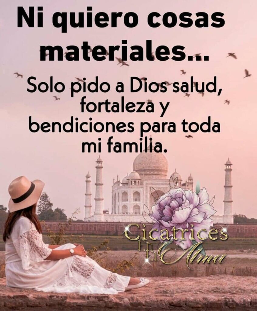 Ni quiero cosas materiales... Solo pido a Dios salud, fortaleza y bendiciones para toda mi familia.