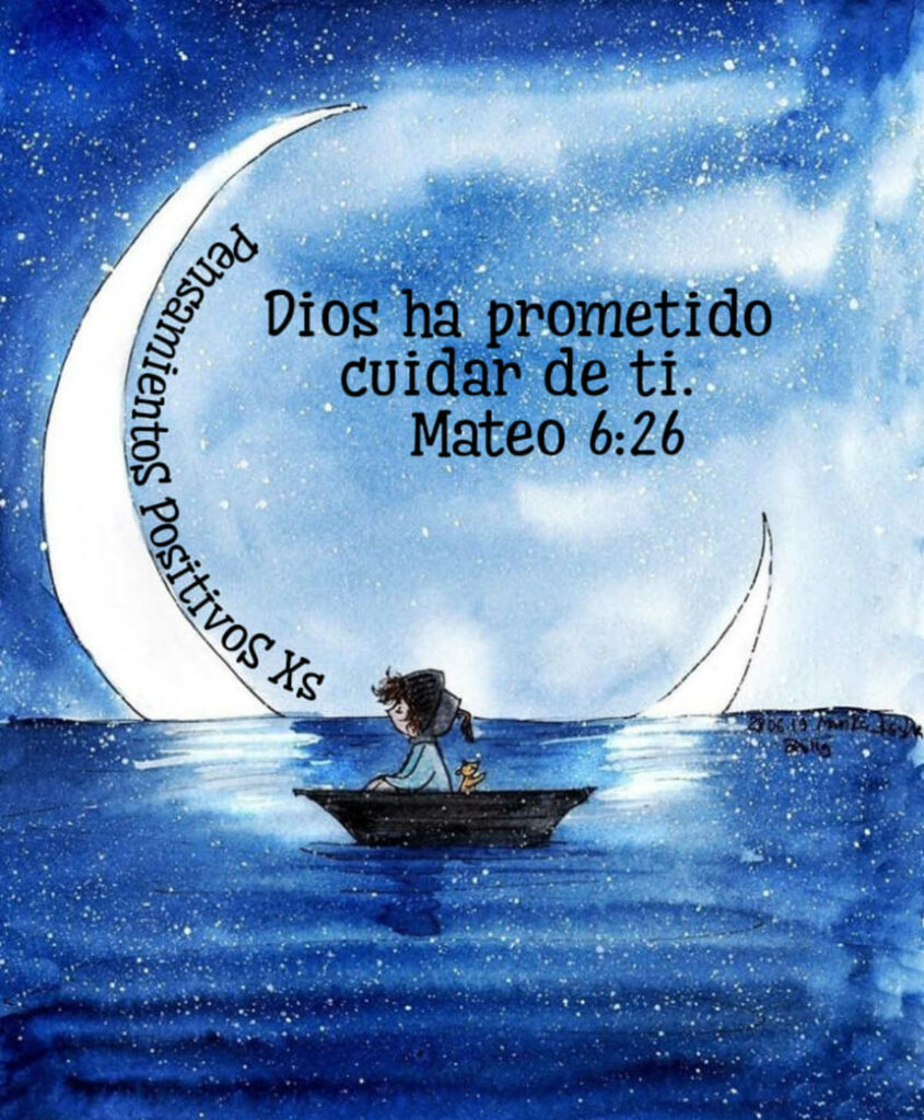 Dios ha prometido cuidar de ti. (Mateo 6:26)