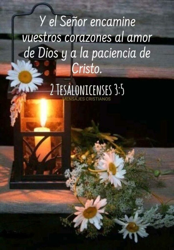 Y el Señor encamine vuestros corazones al amor de Dios y a la paciencia de Cristo. (2 Tesalocicenses 3:5)