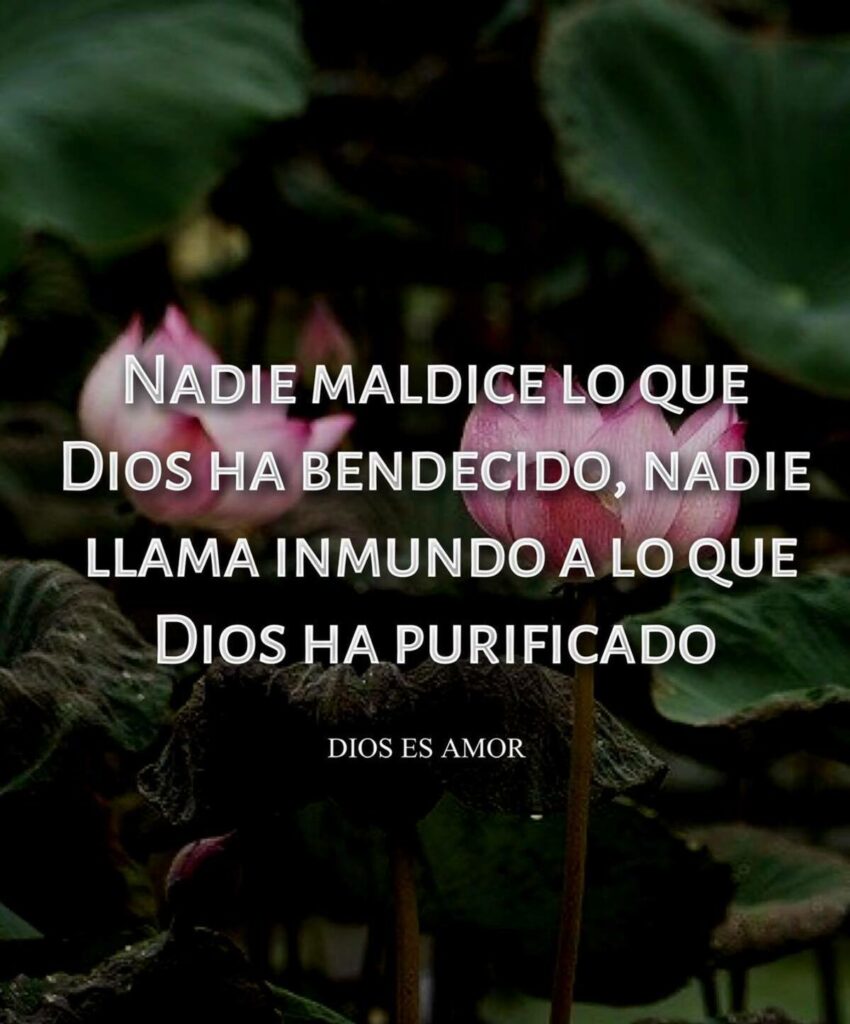 Nadie maldice lo que Dios ha bendecido, nadie llama inmundo a lo que Dios ha purificado. (Dios es Amor)