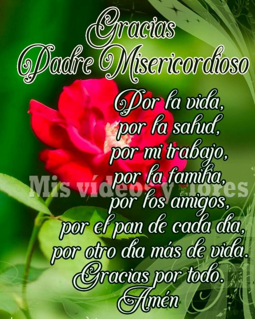 Gracias Padre Misericordioso por la vida, por la salud, por mi trabajo, por la familia, por los amigos, por el pan de cada día, por otro día más de vida. Fracias por todo. Amén