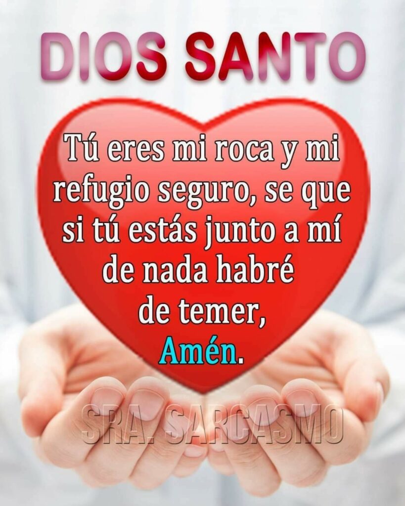 DIOS SANTO Tú eres mi roca y mi refugio seguro, se que si tú estás junto a mí de nada habré de temer, Amén. (SRA.SARCASMO)