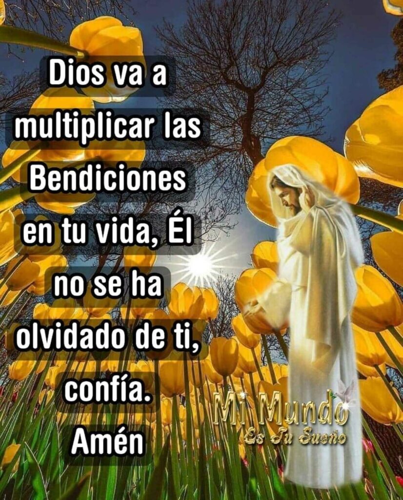 Dios va a multiplicar las Bendiciones en tu vida, Él no se ha olvidado de ti, confía. Amén