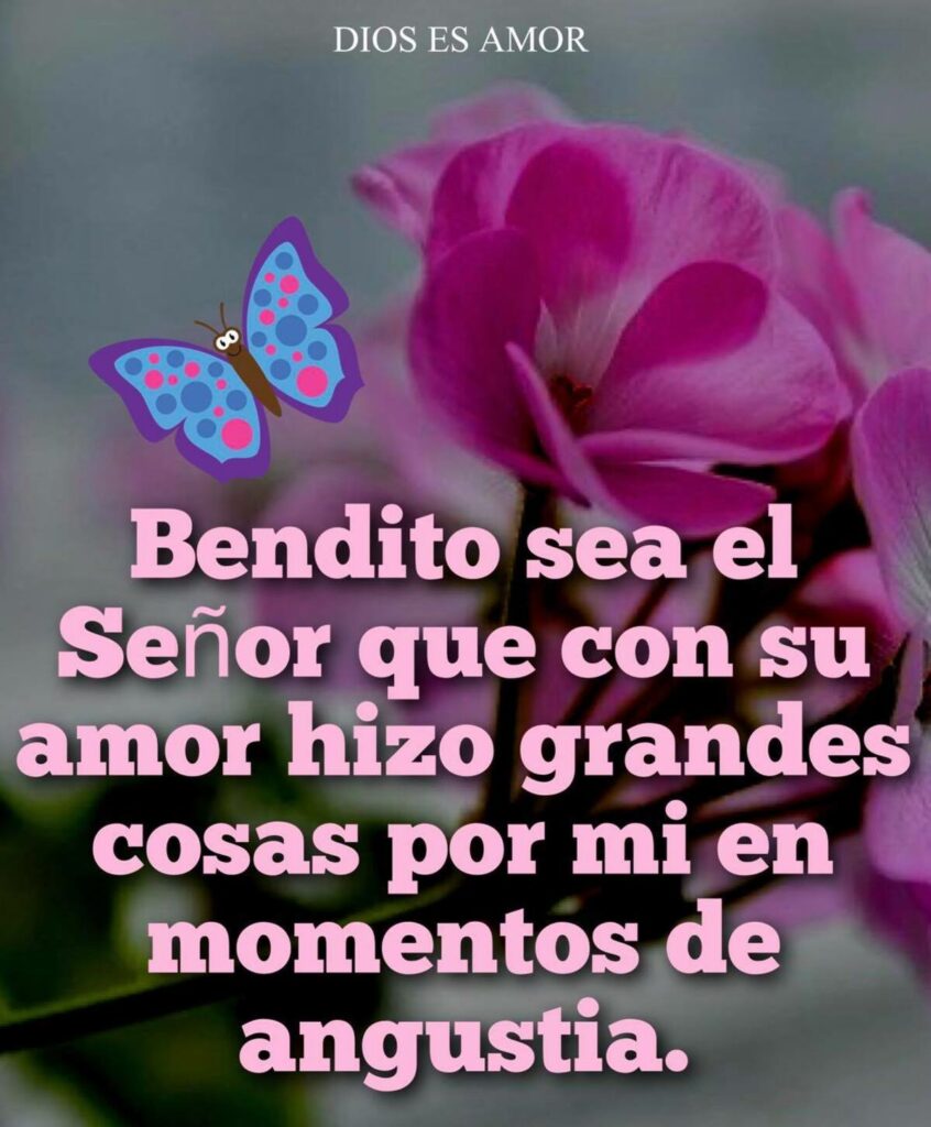 Bendito sea el Señor que con su amor hizo grandes cosas por mi en momentos de anguastia. (DIOS ES AMOR)