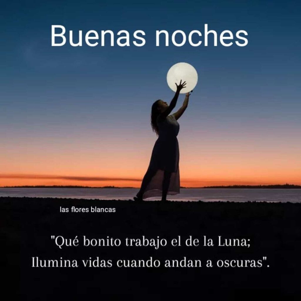 Buenas noches. Qué bonito trabajo el de la Luna ilumina vidas cuando andan a oscuras. (Las flores blancas)