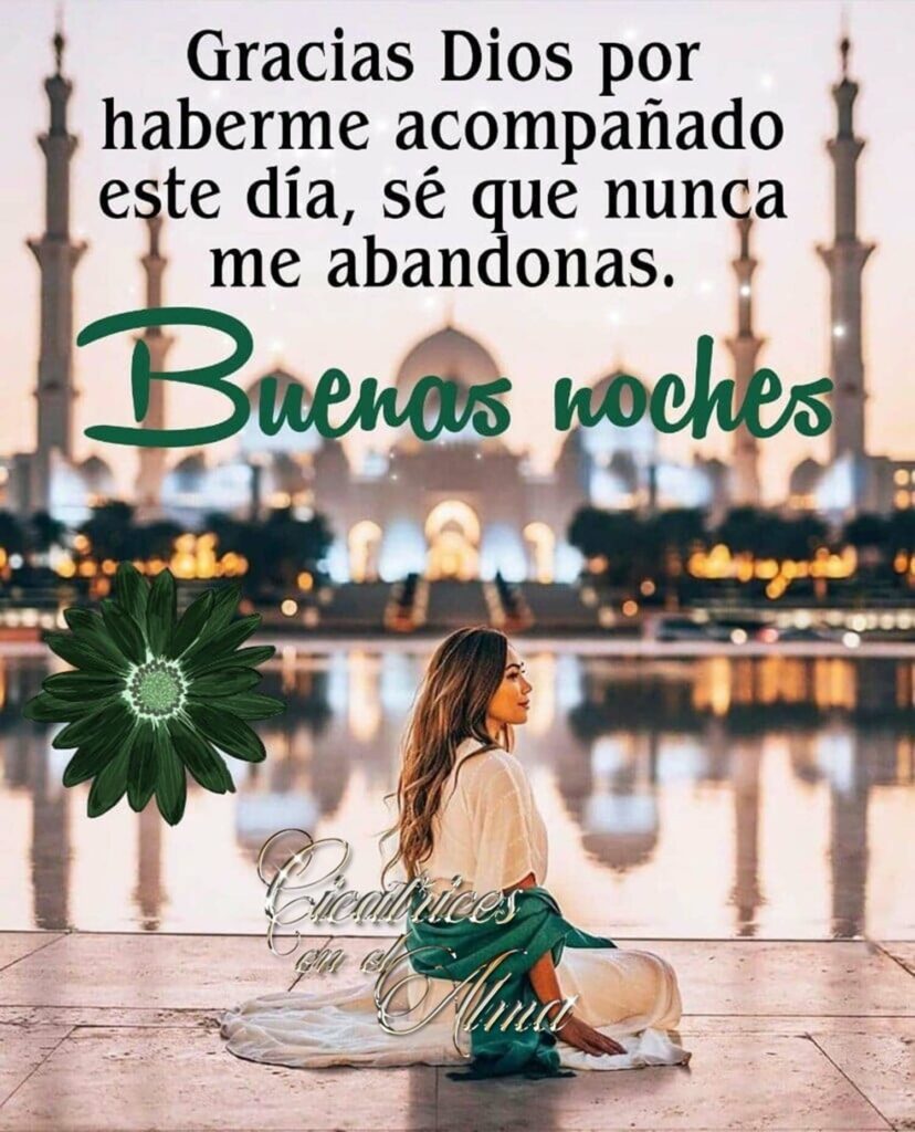 Gracias Dios por haberme acompañado este día, sé que nunca me abandonas. Buenas Noches