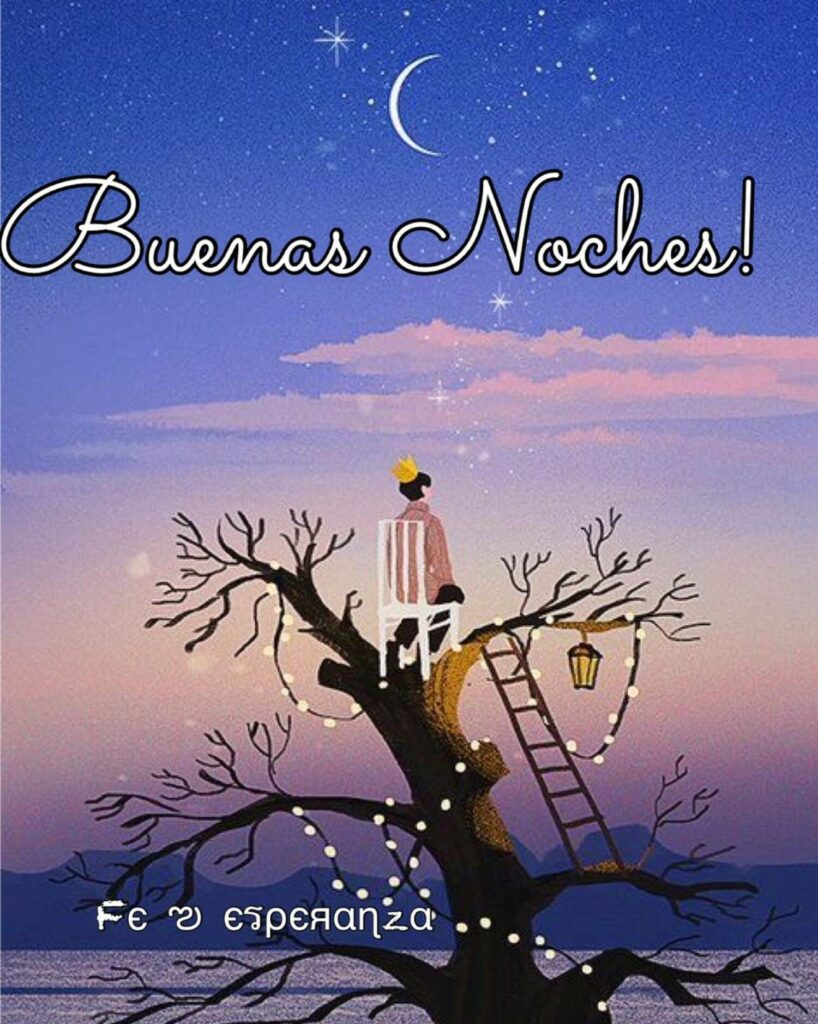 Buenas Noches!