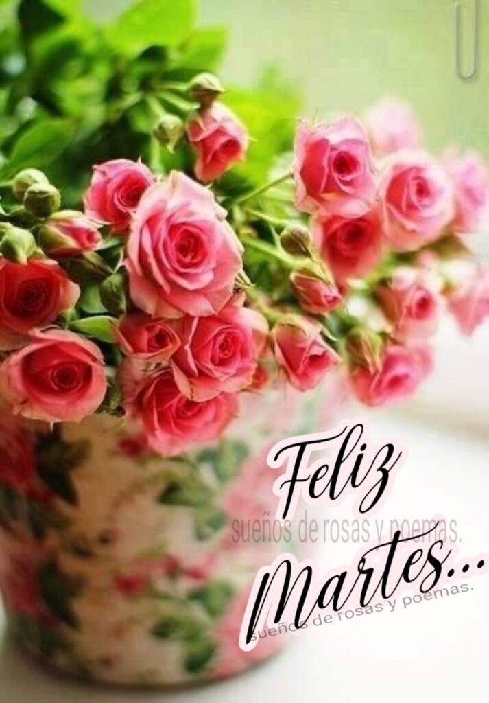 Feliz Martes...(Sueños de rosas y poemas)