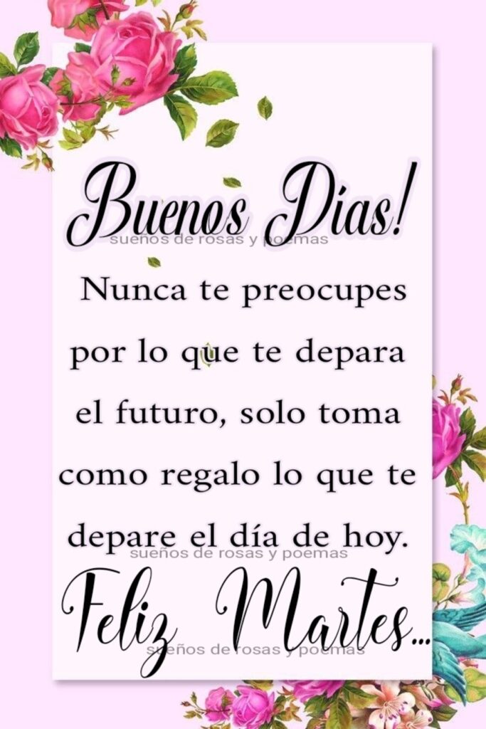 Buenos Días! Nunca te preocupes por lo que te depara el furuto, solo toma como regalo lo que te depare el día de hoy. Feliz Martes