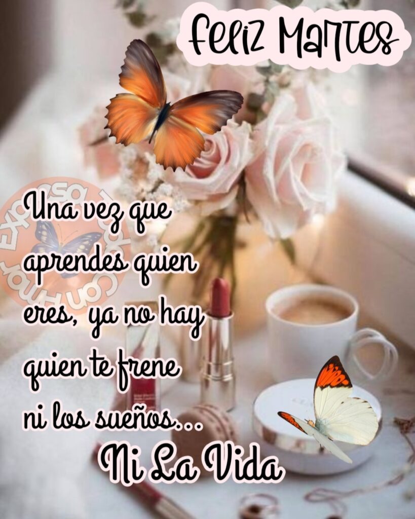 feliz martes. Una vez que aprendes quien eres, ya no hay quien te frene ni los sueños... Ni la vida