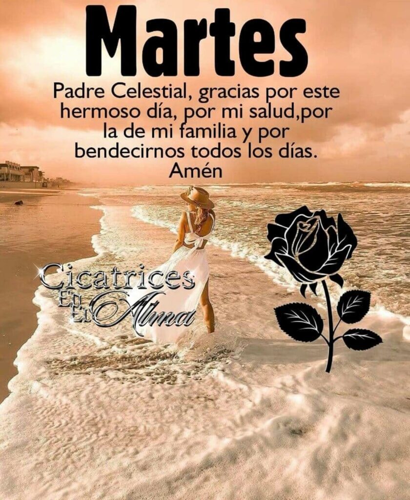 Martes. Padre Celestial, gracias por este hermoso día, por mi salud, por la de mi familia y por bendecirnos todos los días. Amén