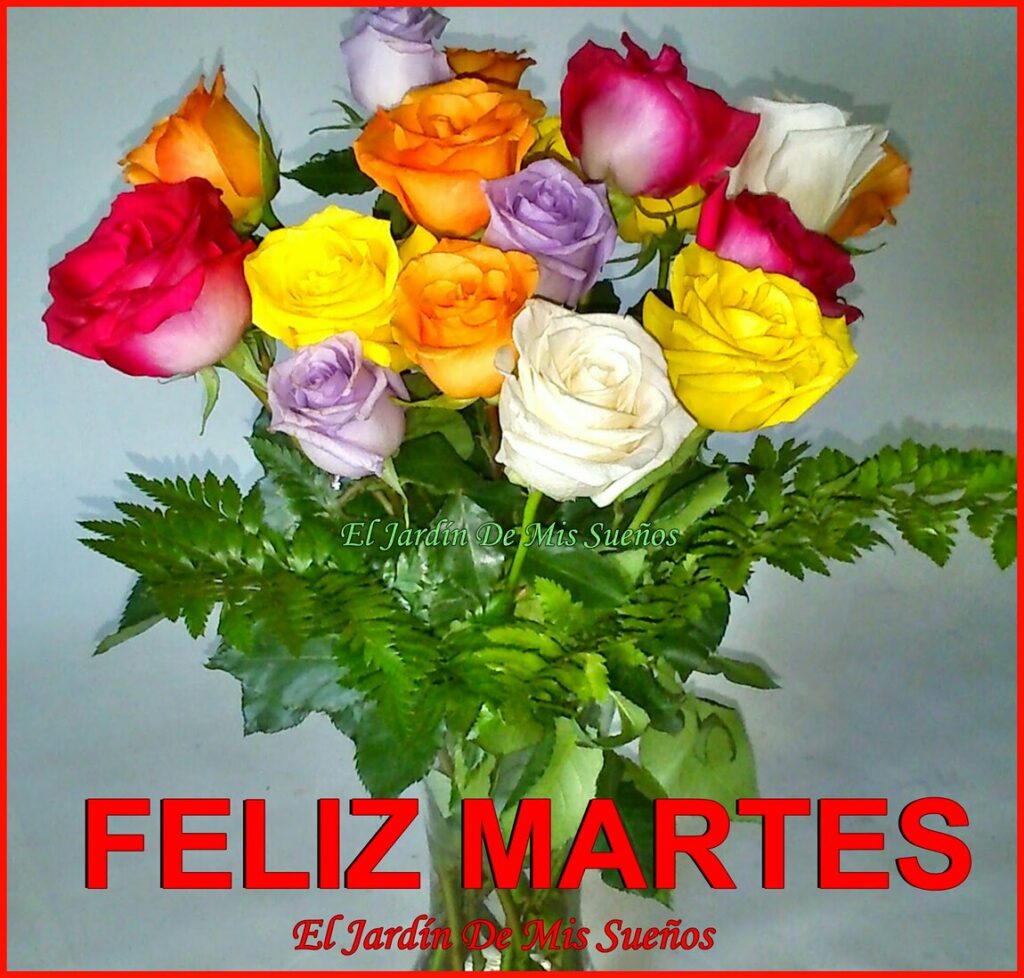 FELIZ MARTES