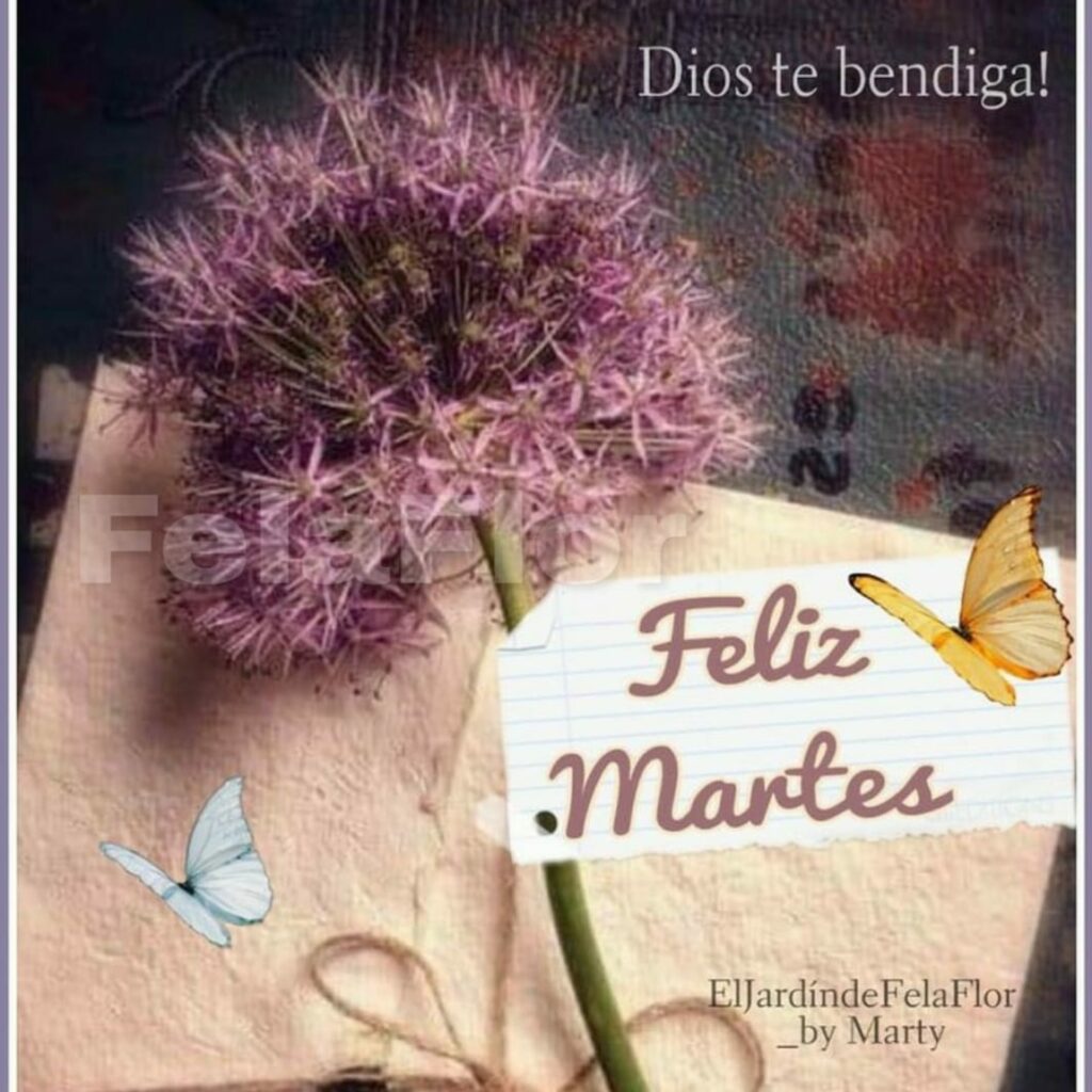 Dios te bendiga! Feliz Martes