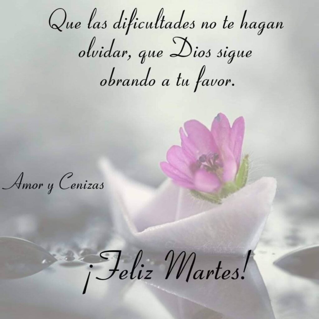 Que las dificultades no te hagan olvidar, que Dios sigue obrando a tu favor. ¡Feliz Martes!