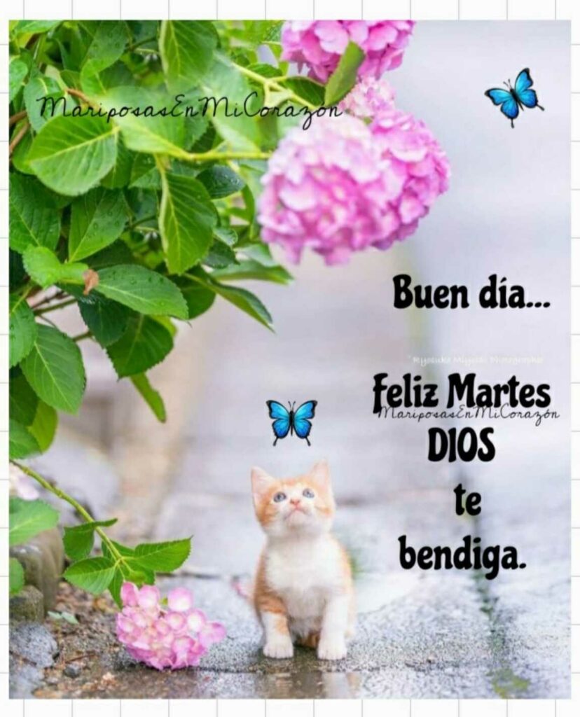 Buen día... Feliz Martes, Dios te bendiga.