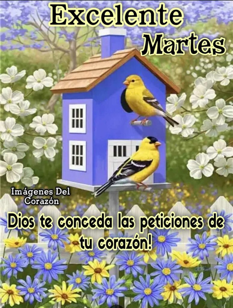 Excelente Martes. Dios te conceda las peticiones de tu corazón! (Imágenes del corazón)