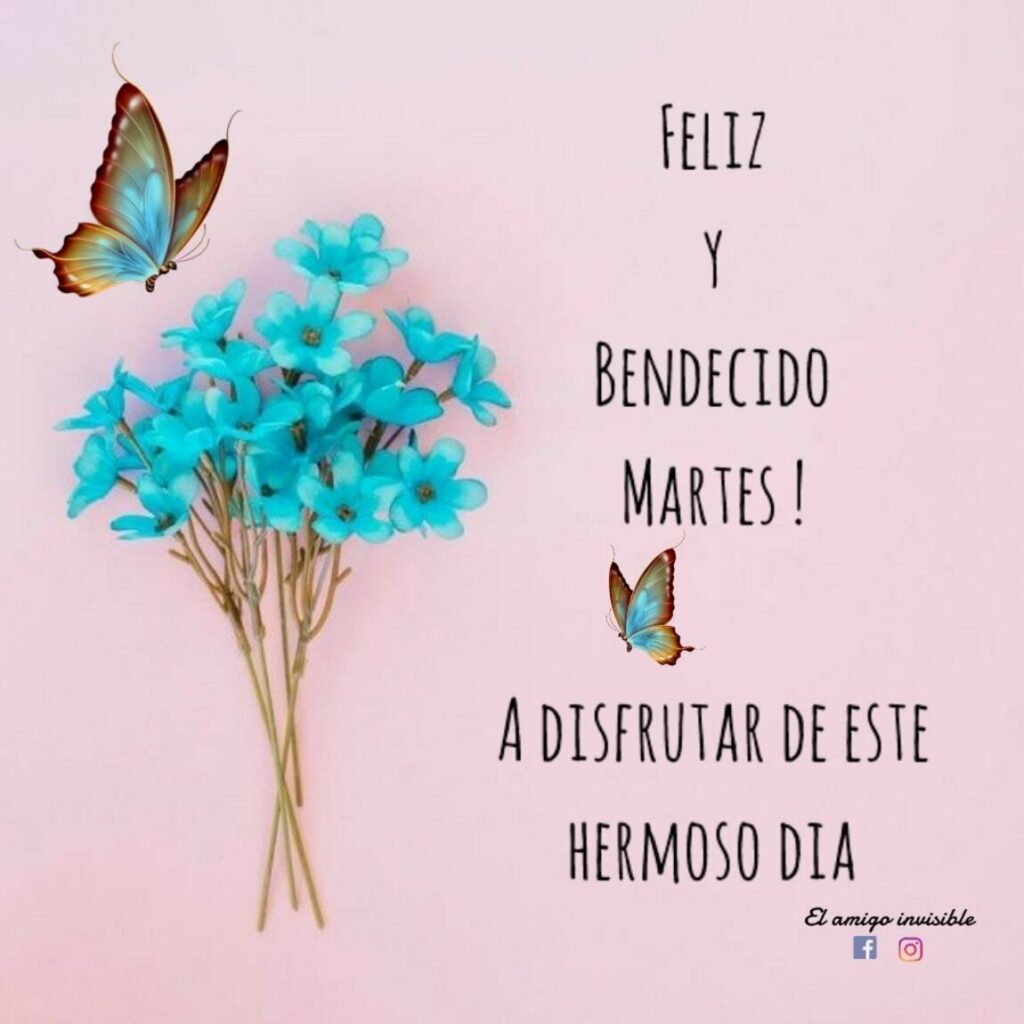 Feliz y bendecido Martes! A disfrutar de este hermoso día