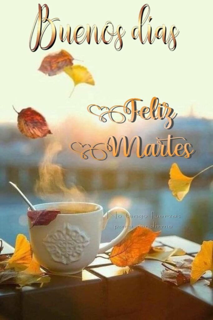 54 Buenos Días y Feliz Martes imágenes 