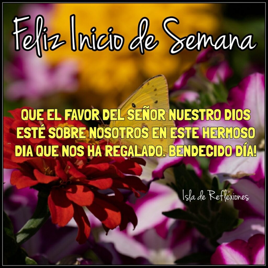 Feliz Inicio de Semana. QUE EL FAVOR DEL SEÑOR NUESTRO DIOS ESTÉ SOBRE NOSOTROS EN ESTE HERMOSO DÍA QUE NOS HA REGALADO. BENDECIDO DÍA!