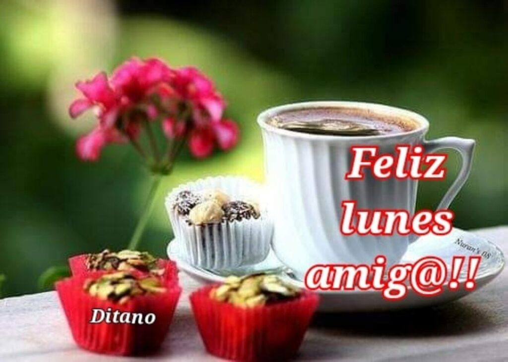 Feliz lunes amig@!!