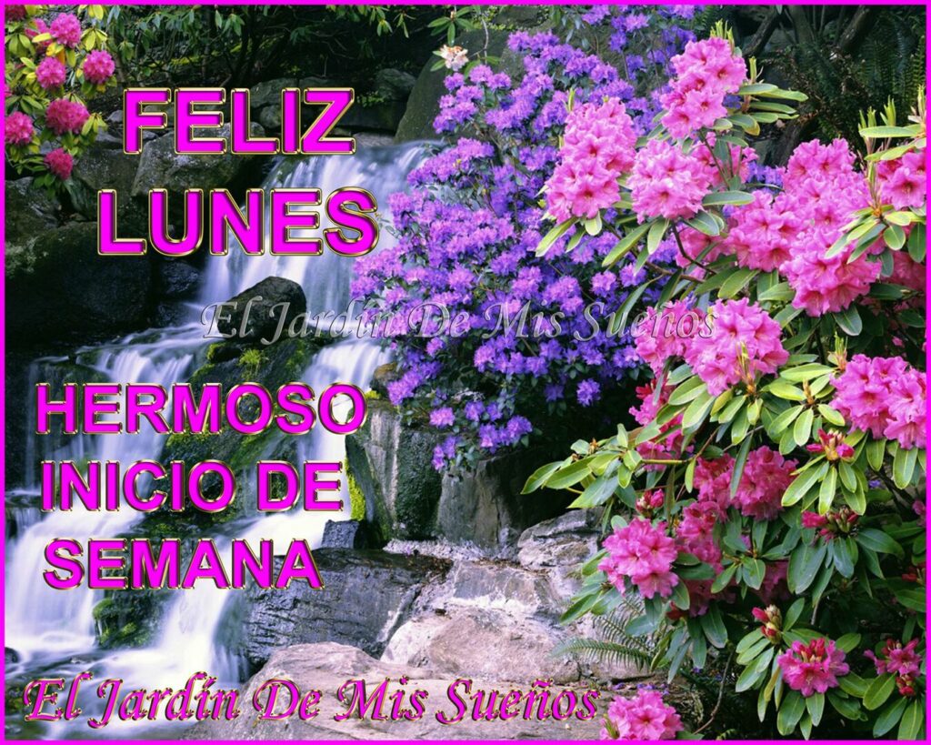 FELIZ LUNES, HERMOSO INICIO DE SEMANA