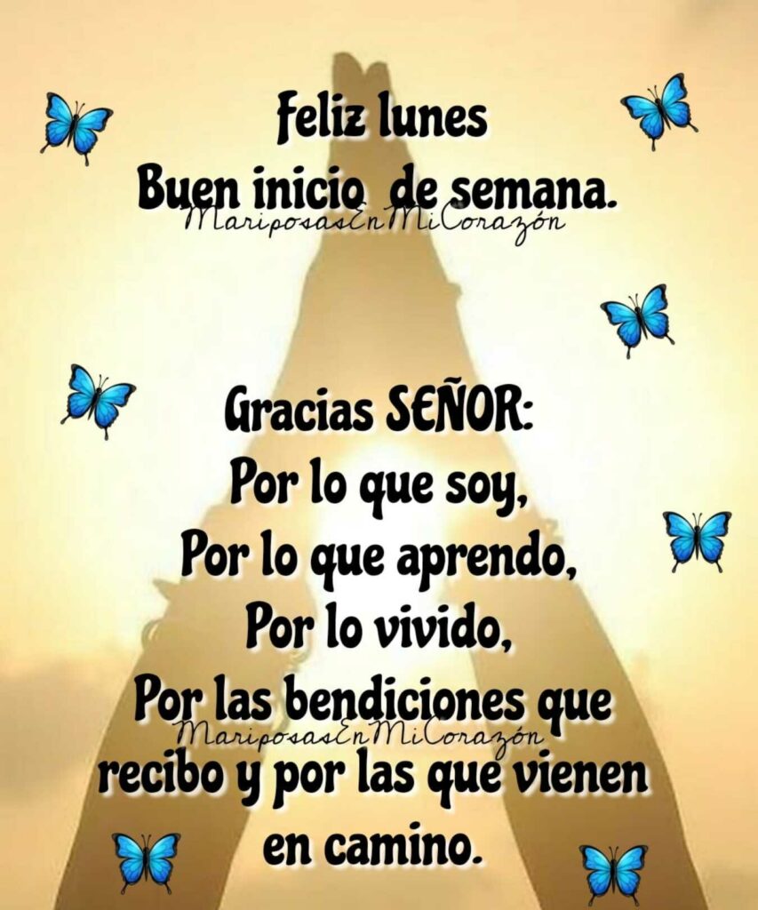 Feliz lunes, Buen inicio se semana. Gracias SEÑOR: Por lo que aprendo, por lo vivido, por las bendiciones que recibo y por las que vienen en camino. (Mariposas en mi corazón)