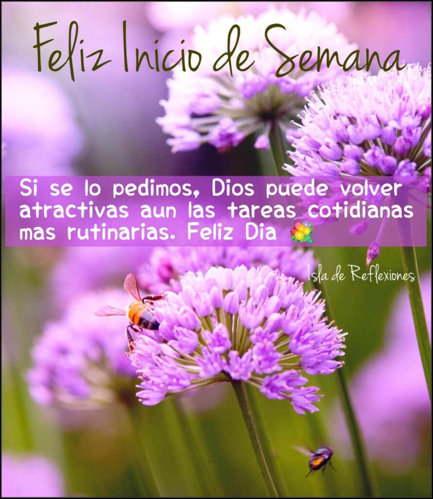 Feliz Inicio se Semana. Si se lo pedimos, Dios puede volver atractivas aun las tareas cotidianas nas rutinarias. Feliz Día